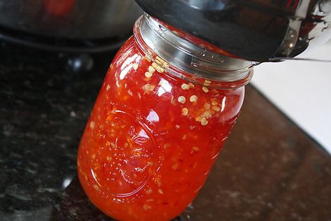 Thai Sweet Chili Jelly..last year I planted a Thai pepper plant and was unsure what to do with the abundance of peppers...not this year! Sweet Chili Sauce Recipe, Thai Peppers, Thai Chili Pepper, Serious Eats Recipes, Chili Pepper Recipes, Chili Sauce Recipe, Thai Chili Sauce, Hot Pepper Jelly, Canning Ideas