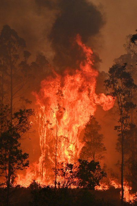 Rihanna on Twitter: "devastating. 😢 #Australia https://t.co/VB2cziPXux" / Twitter Australian Bushfires, Pollution Environment, Dragon Aesthetic, Black Lagoon Anime, Sustainability Projects, Wildland Firefighter, Watch The World Burn, Yennefer Of Vengerberg, Fire Photography