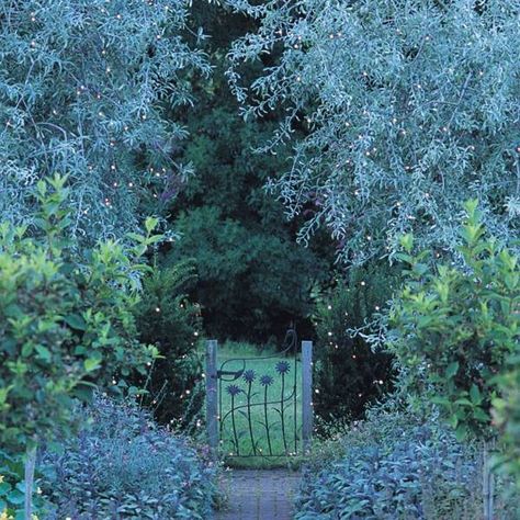 Pretty Garden, Faeries Gardens, Led Tree, Tree Lights, Magical Garden, Garden Gate, Enchanted Garden, Gorgeous Gardens, Tree Lighting