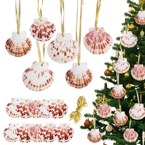 PRICES MAY VARY. Natural Seashells for Crafting - Gifts from nature, sea shells for decorating makes your Christmas tree decoration unique from others. If you are going to have a new Christmas tree with a beach theme, those hanging seashells christmas ornaments set will be perfect! 10pcs Sea Shells for Decorating - You can hang crafts shells on the stairs, closet, or dining table, that will make great addition to your christmas and holiday decoration. You also can paint them with all kinds of pa Sea Shell Crafts Seashell Art Ideas, Hanging Seashells, Beachy Christmas Decor, Warm Christmas Decor, Stairs Closet, Scallop Shell Craft, Seashell Ideas, Beach Christmas Trees, Crafting Gifts