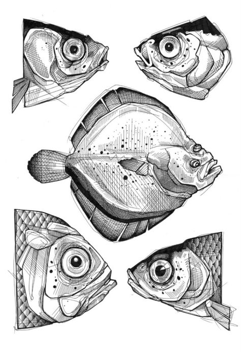 Lea Nahon, Fish Sketch, Art Fish, Fish Fish, Fish Illustration, Fish Drawings, Ink Drawings, Ink Sketch, Animal Sketches