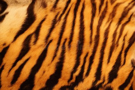 Pattern Mural, Real Tiger, Animal Skin Pattern, Tiger Fur, Tiger Skin, Fur Texture, Skin Pattern, Bedroom Wall Decor, Boys Bedroom