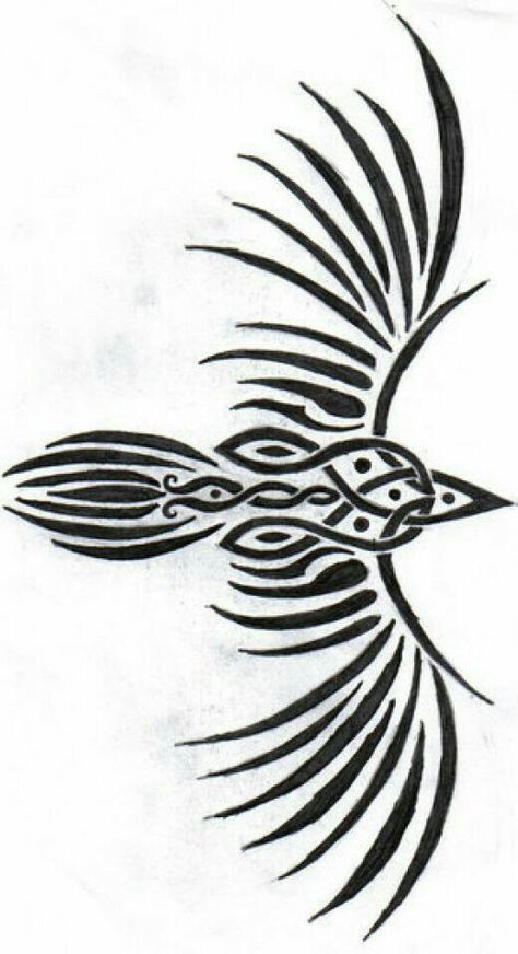 Tattoos Polynesian, Tattoos Celtic, Symbole Tattoo, Celtic Knot Drawing, Borneo Tattoos, Tattoos Lion, Pagan Tattoo, Celtic Raven, Tattoos Rose