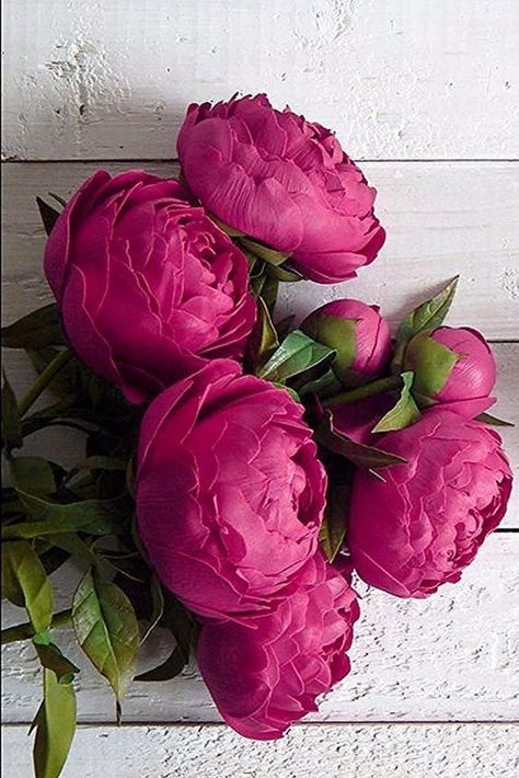 Magenta Flowers, Viva Magenta, Beautiful Bouquet Of Flowers, Flower Background Wallpaper, Beautiful Flower Arrangements, Luxury Flowers, Deco Floral, Dried Flower Bouquet, Beautiful Flowers Pictures