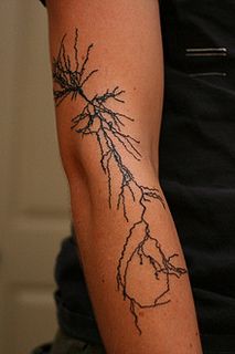 Coolest tattoo I've ever seen!! Totally getting a pyramidal neuron next! Scientific Tattoo, Science Tattoo, Science Tattoos, Geeky Humor, Body Modifications, Couple Tattoos, First Tattoo, Tattoo You, A Tattoo