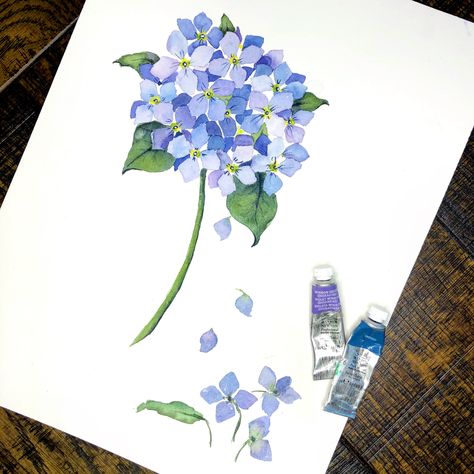 Seasons Watercolor, Good Friday Morning, Floral Art Paintings, Hydrangeas Art, Loose Watercolor Flowers, Watercolor Hydrangea, Hydrangea Painting, Watercolor Flowers Tutorial, Art Tutorials Watercolor