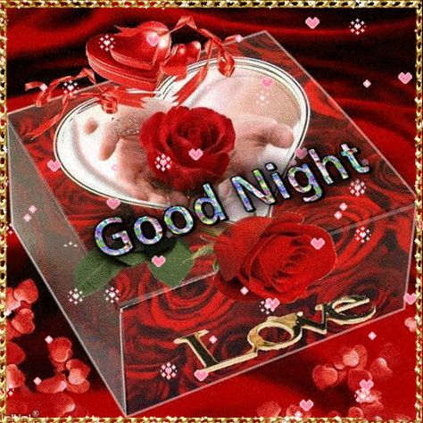 Good Night Pic, Good Night Teddy Bear, Cute Good Night Images, Gud Night, Love Good Night, Roses Gif, Night Pic, Good Night Friends Images, Best Good Night