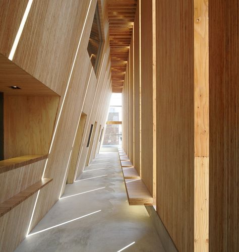 Ancient Future -Urban Mass Timber Projects with LVL and CLT in Japan Mass Timber Structure, Timber Auditorium, Mass Timber Interior, Mass Timber Architecture, Sustainable Home Design Floor Plans, Clt Architecture, Timber Projects, Ancient Future, Mass Timber