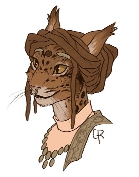 Khajiit Art, Vault Dweller, Elder Scrolls Art, Elder Scrolls Online, Dungeons And Dragons Characters, Dnd Art, Creature Feature, Cat People, Elder Scrolls