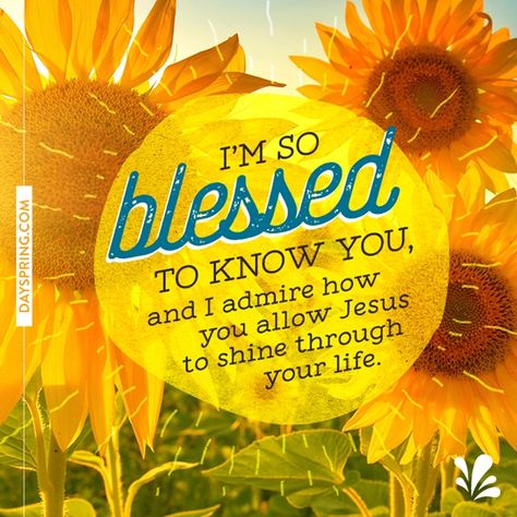 View your message | Ecards | DaySpring Thank You God For My Friend, You Are A Blessing, Happy Birthday Woman Of God, Friend Verses, Christian Friendship Quotes, Friend Encouragement, Birthday Wishes For A Friend, Happy Sunflower, Christian Friendship