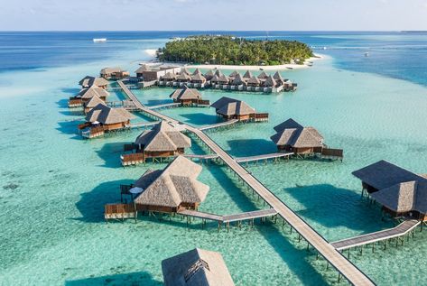 Visiting the Maldives: How I Booked an Overwater Bungalow with Points | Condé Nast Traveler Thailand Treehouse, جزر المالديف, Conrad Maldives, Bucket List Hotels, Maldives Tour, Underwater Restaurant, Visit Maldives, Ko Samui, Water Villa