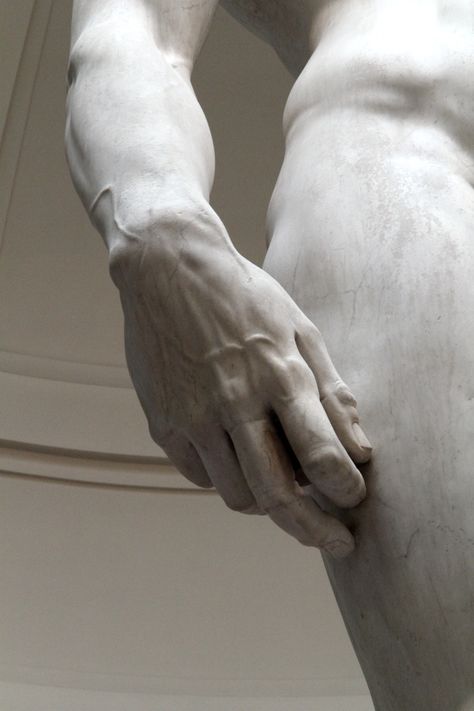 michelangelo david Michelangelo Sculpture, Michelangelo David, Lorenzo Quinn, Michelangelo's David, Turn To Stone, Hand Sculpture, Marble Statues, Marble Sculpture, Hand Shapes