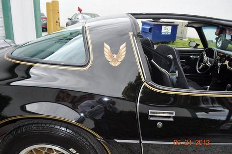 1977 Trans Am, 1981 Trans Am, 1979 Trans Am, Bandit Trans Am, 1978 Pontiac Trans Am, 1979 Pontiac Trans Am, Trans Am For Sale, Classic Camaro, Pontiac Trans Am