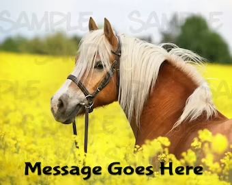 SavEdibleImages | Etsy Horses Wallpaper, Parasitic Worms, Horse Background, Wallpaper For Ipad, 3d Wallpaper Cute, Beautiful Horse Pictures, Free Horses, Horse Wallpaper, Beautiful Horse