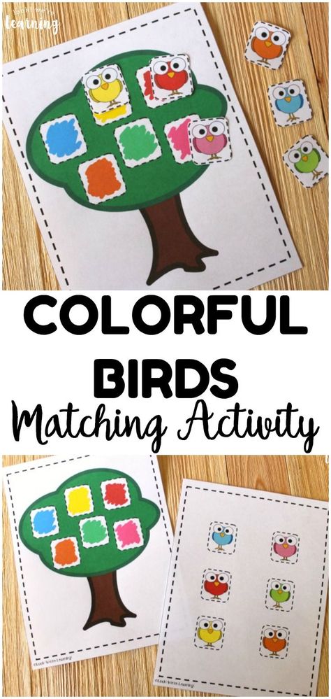 Work on color recognition with this cute bird-themed color matching activity for kids! So simple for an early learning activity! #lookwelearn #prek #preschool #learning Preschool Bird Activities, Birds Activities Preschool, Colors Activities For Kids, Matching Activities For Preschoolers, Bird Preschool, Learning Colors Activities, Color Activities For Toddlers, Early Childhood Education Activities, Easy Bird