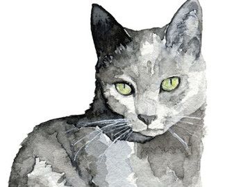 Sketching Cats, Pet Decor, Cat Custom, Portrait Watercolor, Shorthair Cat, Image Chat, Grey Cat, Hur Man Målar, Painting Subjects