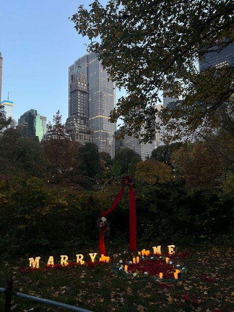 central park, nyc, proposal, engagement, photoshoot, romantic, new york city, wedding, fiancé, marry me New York City Proposal Christmas, New York City Proposal, Concert Proposal, Vegas Proposal, Central Park Proposal, Nyc Proposal, Park Proposal, Romantic Valentines Day Ideas, Central Park Nyc