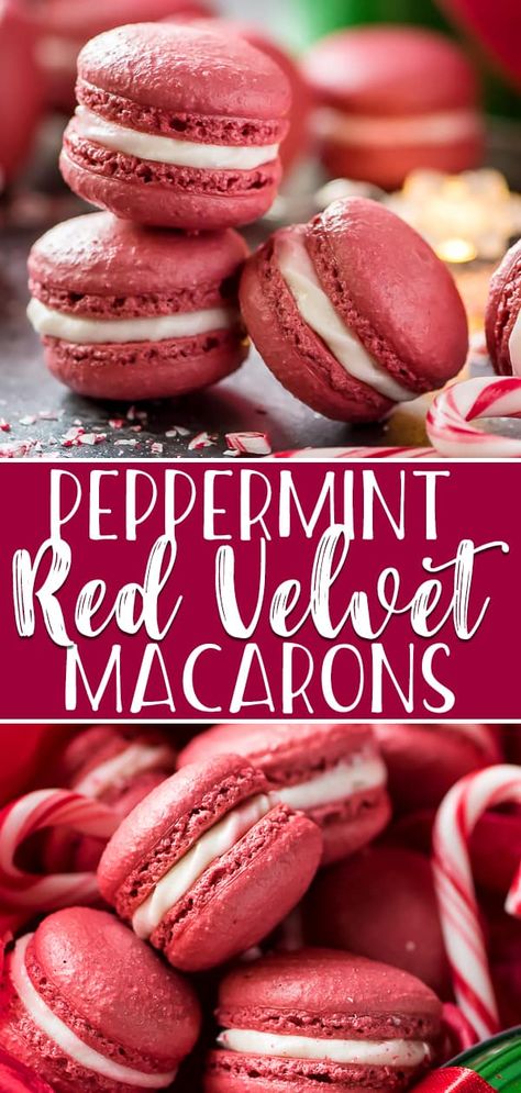 Festive, fun, and completely adorable, these sweet little Peppermint Red Velvet Macarons deserve a spot on your holiday cookie tray! These bakery classics take focus and precision in the kitchen, but the results are as impressive looking as they are yummy! Maccarone Recipes, Velvet Desserts, Red Velvet Macarons, Valentines 2023, Tea Sweets, Macaron Recipes, Winter Favorites, Recipes Baking, Macaroon Recipes