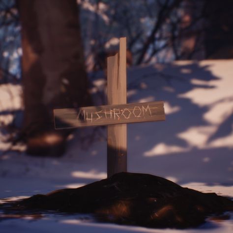 Mushroom Life Is Strange, Life Is Strange 2 Wolves, Life Is Strange 2 Aesthetic, Sean Aesthetic, Life Is Strange Remastered, Mr Jefferson, Sean And Daniel, Life Is Strange Aesthetic, 2 Wolves