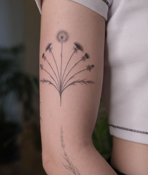 #handpoke original dandelion composition. Done at @namestattoo I was inspired by this project for new sketches 😍 bookings are open in Lisbon sep/oct/nov Fill out the form on my website inspiradatattoo.com Dandelion Tattoo Design, Dandelion Tattoo, Hand Poke, American Traditional, Tattoos And Piercings, Dandelion, Tatting, Piercings, Tattoo Designs