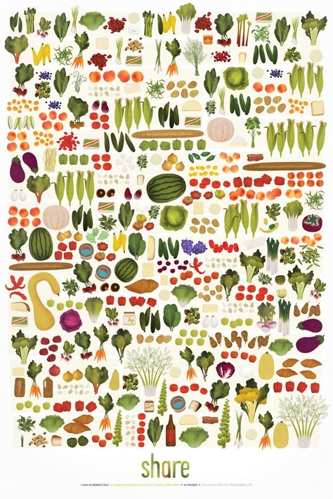 Illustration Food, Little Garden, Art And Illustration, Pretty Patterns, Food Illustrations, Raised Garden Beds, Garden Beds, 그림 그리기, Graphic Design Illustration