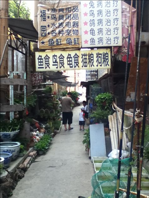 My first alley in Yantai, China Yantai, East Asia, Southeast Asia, Four Square, Places To Visit, Street View, Festival, China, Architecture