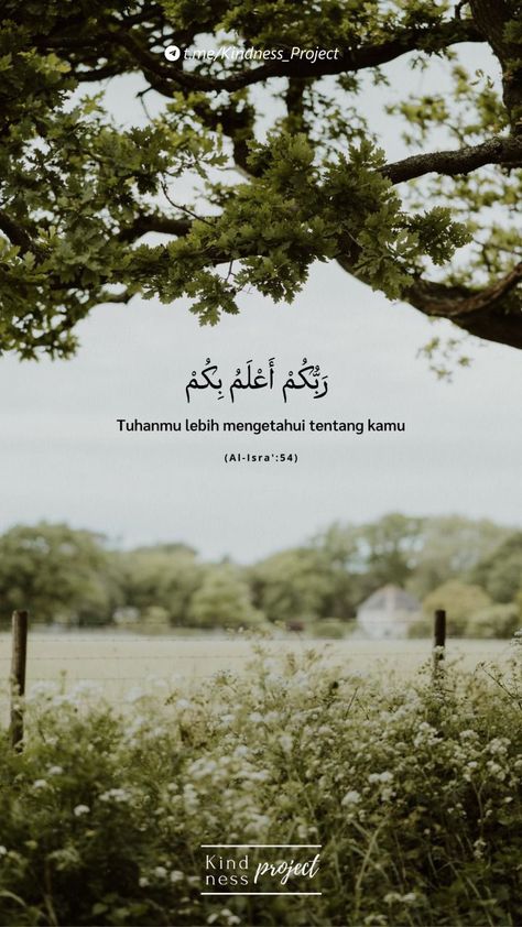 Inspirational Quotes Background, Al Qur'an Aesthetic, Islamic Wallpaper Iphone, Ayat Quran, Beautiful Quran Verses, Pray Quotes, Postive Life Quotes, Ayat Al-quran, Islamic Quotes Wallpaper