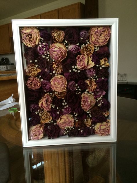 Dried out flowers in a shadow box! Shadow Box With Roses, Shadow Box Roses Dried Flowers, Dry Flower Shadow Box Ideas, Dried Flowers In Shadow Box Display, Shadow Box Roses, Ideas For Dried Roses, Rosas Secas Ideas, Dried Roses Ideas Diy, Dried Roses Ideas