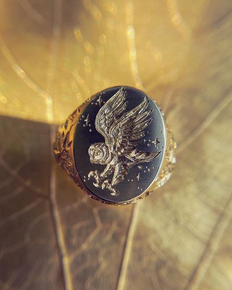 Signet Rings Women Vintage, Ring Aesthetic, Signet Rings Women, Owl Ring, Rings Women, Signet Rings, Gambar Figur, Gold Signet Ring, Funky Jewelry