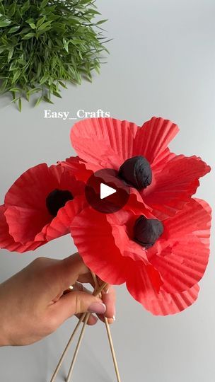 25K views · 856 reactions | How to make poppies for Remembrance Day | Easy_Crafts | Easy_Crafts · Original audio How To Make Poppy Flowers, Remembrance Crafts, Remembrance Day Crafts, Remembrance Day Craft, Poppy Craft For Kids, Poppy Craft, Remembrance Day Poppy, Remembrance Day, Crafts Ideas