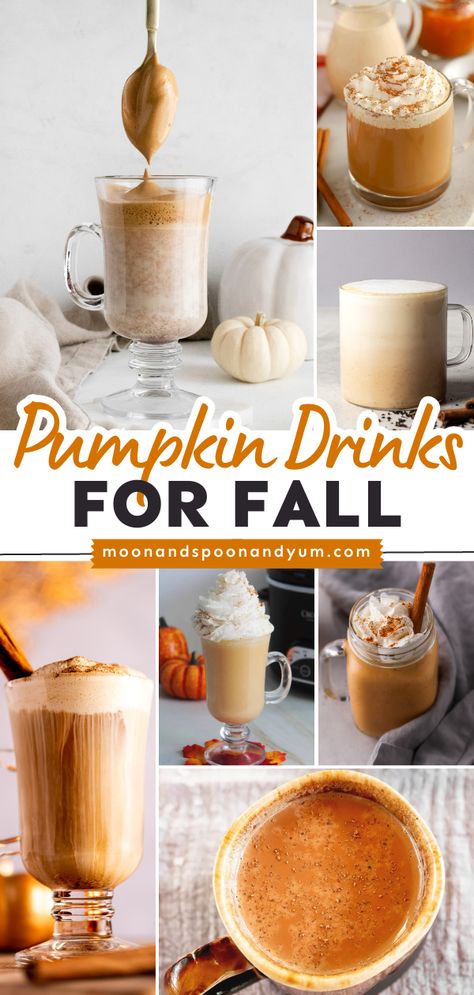 All the pumpkin drink recipes for fall! No matter what you're in the mood for, there's a perfect fall beverage right here. Enjoy this roundup of coffees, teas, hot chocolates, smoothies, and other pumpkin drinks! Thanksgiving Hot Drinks, Drinks For Fall, Hot Fall Drinks, Pumpkin Drink Recipes, Fall Everything, Warm Drinks Recipes, Pumpkin Drink, Gluten Free Family Meals, Bomb Drinks