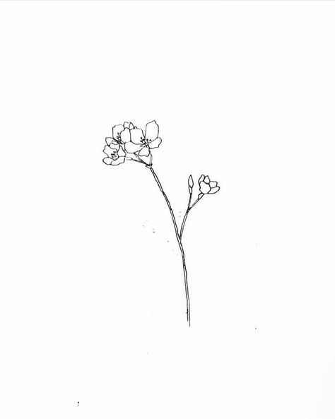 Small Line Art Tattoos, Small Line Art, White Flower Tattoos, Black And White Flower Tattoo, Magnolia Tattoo, Flower Tattoo Drawings, Small Flower Tattoos, 3 Tattoo, Arte Van Gogh