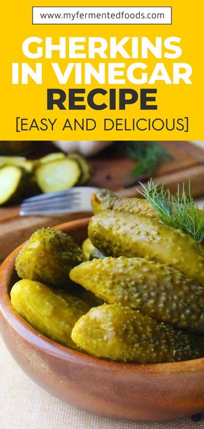 Gherkins are a vegetables used mainly as salads or pickles. They are a distant cousin of the cucumber. Gherkins are pickled frequently as they are smaller and many people prefer the smaller size for their pickles. Let us take a look at gherkins, their benefits, and some ways to preserve them as pickles. .#MyFermentedFoods #FermentedVeggie #Vinegar #Fermentation #Fermenting #FermentedFoods #Gherkins #Pickling #Pickles #canning #foodpreservation #preserving #homecanning #canningrecipes #recipe Pickling Pickles, Pickles Canning, Fermented Foods Benefits, Dehydrated Food, Garden Recipes, Pickling Recipes, Tempeh, Fermented Foods, Fermenting