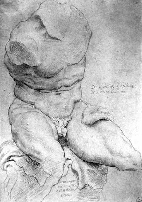 Peter Paul Rubens, Belvedere Torso, 1601-2 Figure Anatomy, Annibale Carracci, Paul Rubens, Master Drawing, History Painting, Peter Paul Rubens, Drawing Studies, Anatomy Drawing, White Chalk