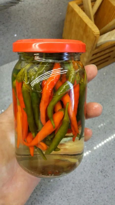 How To Preserve Thai Chili Peppers, Pickled Chillies How To Make, Preserving Thai Chili Peppers, Thai Chilli Pepper Recipes, Pickled Green Chillies Recipe, Pickled Thai Chili Peppers, Pickled Chillies Recipe, Pickling Vinegar Recipe, Preserve Chillies