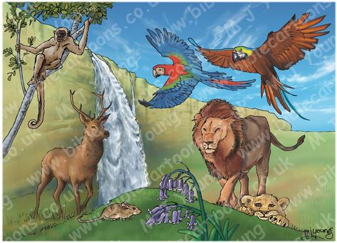 7 Days Creation Of God, Genesis Creation, Babies Rooms, Bible Cartoon, God Drawing, Deer Species, Land Animals, Spider Monkey, African Lion