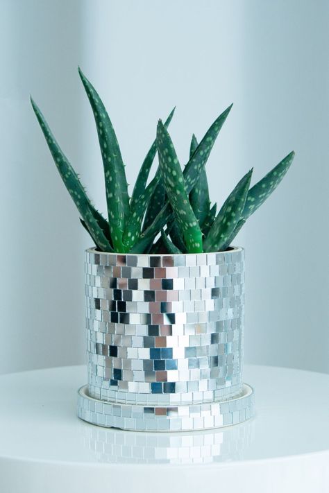 disco ball planter, disco planter, disco ball, disco ball decor, disco decor, disco ball room decor, plant decor, plant gifts, gifts for plant lover, plant lover gifts Disco Ball Succulent, Diy Disco Ball Planter, Disco Ball Vase, Odd Decor, Disco Planter, Glass Flower Pot, Disco Ball Planter, Glass Mirror Tiles, Disco Mirror