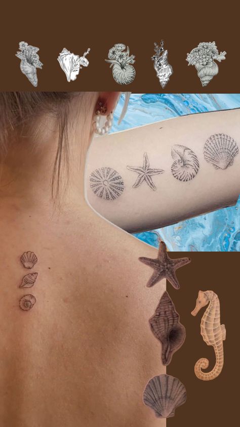 Seashell Tattoos, Sea Shells, Nautical, Tattoos