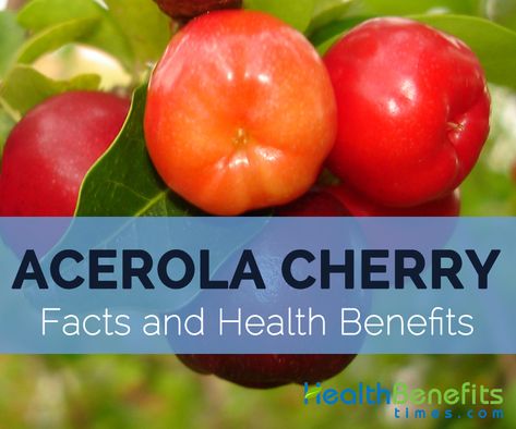 Acerola Cherry Facts, Health Benefits and Nutritional Value Cherry Plant, Liver Damage, Acerola Cherry, Fast Growing Trees, Skin Dryness, Pantothenic Acid, Nutritional Value, Healthy Food Choices, Health Conditions