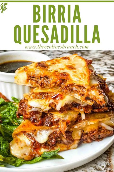 Birria Quesadilla is an amazing Mexican recipe of shredded beef seasoned with smoked dried peppers and cheese in a tortilla. A spicy and delicious chuck roast recipe for an appetizer, game day, or main course. Birria Quesadillas Recipe, Birria Quesadillas, Better 2024, 2023 Meals, Beef Birria Recipe, Beef Birria, White Queso, Tailgate Recipes, Beef Entrees