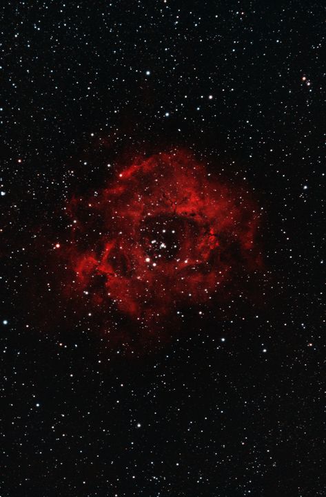 Skull Nebula, Cosmic Rose, Hubble Space Telescope Pictures, Rosette Nebula, Moon And Stars Wallpaper, Nebula Wallpaper, Celestial Objects, Cosmos Space, Red Space