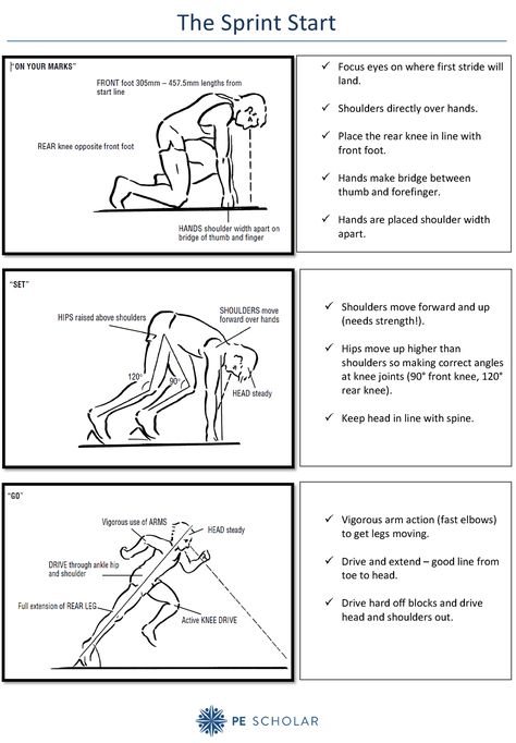 Sprint Start Position Teaching Card  Information from The Royal Navy's Athletics document put into a condensed, sprint start specific teaching card. Ideal for reciprocal/pair learning.  https://www.pescholar.com/resource/sprint-start-position-teaching-card 100m Sprint, Athletics Training, Assessment For Learning, Pe Games, Ash Tree, Cakes Recipes, Athletic Training, Physical Education, Parkour