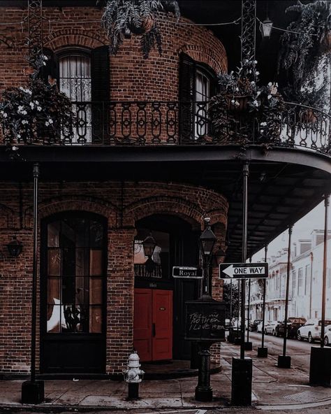 New Orleans Aesthetic, Southern Gothic Aesthetic, Haunted Images, Elijah Mikaelson, New Orleans Homes, Interview With The Vampire, Southern Gothic, New Orleans Wedding, Long Shot