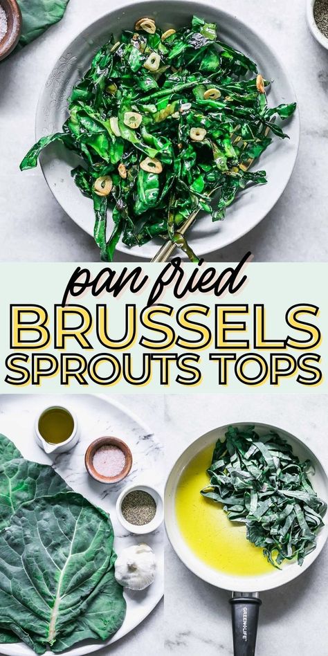 Brussel Sprout Greens, Brussel Sprout Leaves Recipes, Scrap Recipes, Brussel Sprout Plant, Sautéed Brussels Sprouts, Fried Brussels Sprouts, Preserve Fresh Herbs, Sprouts Recipes, Sustainable Eating