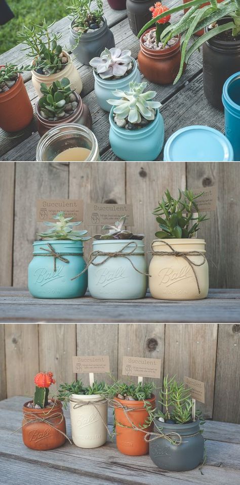 Mason Jar Plants, Mason Jar Succulents, Mason Jar Planter, Terrarium Gifts, Plants In Jars, Mason Jar Projects, Trendy Plants, Succulent Centerpieces, Succulent Garden Diy