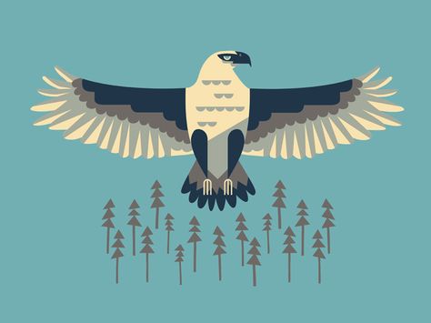 I created this shirt design a few years ago and just forgot to share it with the world. Better late than never I suppose Owen Davey, Animal Logo Inspiration, Eagle Art, Childrens Drawings, Adobe Illustrator Tutorials, Eagle Design, Better Late Than Never, Bird Logos, Eagle Shirts