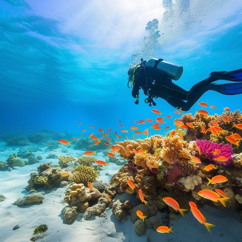 "Underwater Diving Adventure: A solitary diver explores the vibrant underwater world teeming with colorful fish and coral reefs. #underwater #scuba #diver #coral #reef #oceanlife #marinelife #adventure ⬇️ Download and 📝 Prompt 👉 https://stockcake.com/i/underwater-diving-adventure_174613_29572" Free Diving Aesthetic, Scuba Diving Aesthetic, Diving Aesthetic, Scuba Diving Photography, Underwater Diving, Underwater Fish, Orange Fish, Ocean Fishing, Oceanography