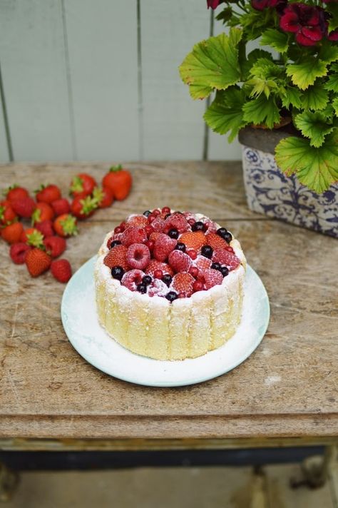 Charlotte Russe Dessert, Berry Charlotte, Cool Desserts, Charlotte Royale, Valentines Recipes, Charlotte Cake, British Baking, Pudding Desserts, Summer Berries