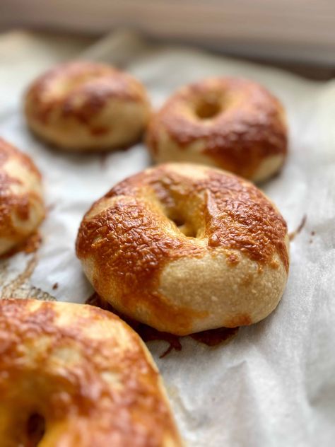 Easy Homemade Sourdough Bagels Artisan Sourdough Bread Recipe, Perfect Pizza Crust, Sourdough Rye Bread, Pumpkin Bagels, Bread Proofer, Sourdough Bagels, Natural Yeast, Sourdough Starter Discard Recipe, Homemade Sourdough