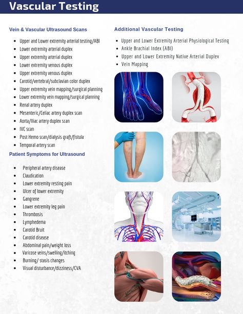 Western Vascular Institute Vascular Testing Peripheral Vascular System, Medical Charting, Cardiovascular Sonography, Diagnostic Medical Sonography Student, Medical Laboratory Science Student, Crna School, Vascular System, Sonography Student, Vascular Ultrasound